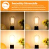 Vintage LED Dimmable Edison Light Bulbs 100W Incandescent Equivalent, 8W