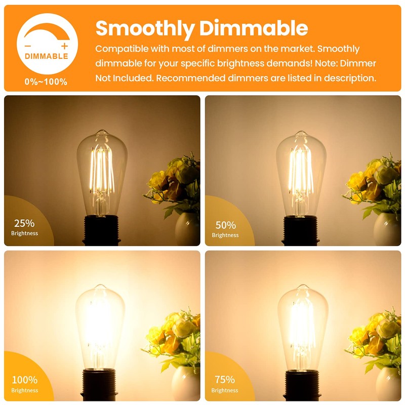 Vintage LED Dimmable Edison Light Bulbs 100W Incandescent Equivalent, 8W