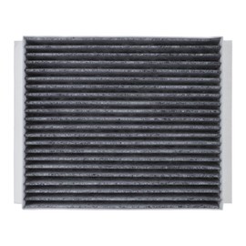 Rayten Cabin Air Filter with activated carbon Compatible withFord Mustang 2014-2010 Activated Carbon Cabin Filter Replacement CF10370 CA10781