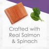 Fancy Feast Elegant Medleys, Wild Salmon Florentine with Garden Greens