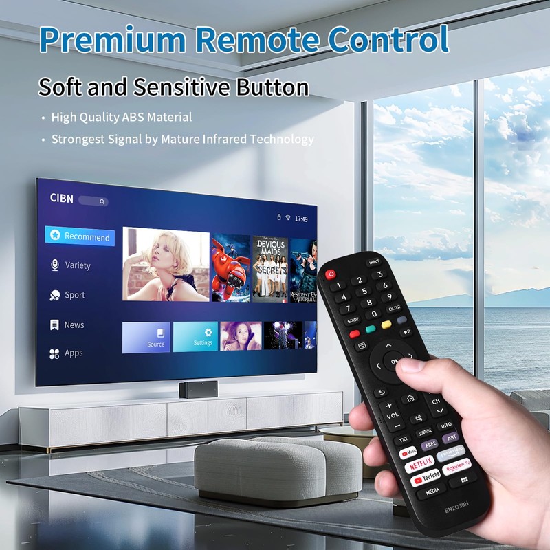 2-Pack EN2G30H Replacement Remote Control Compatible with Hisense VIDAA TV