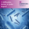 UK Darmflora 10 Mega Kapseln vegan - Hochdosierte Laktobazillus-Bifidus-Kulturen +