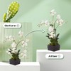 Orchid Sticks 17 inch &11 inch SupKing 16Pcs Plant Stakes