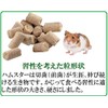 GEX Gex Saishokken Hamster Blend for Golden Hamsters, 300g
