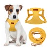 CHEDE No Pull Puppy Harness and Multifunction Dog Leash Set-