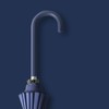 16 Bone Long Handled Umbrella Leather Handle Rain and Shine