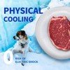 All For Paws Chill Out Cooler Food Bowl, Large, 7.45
