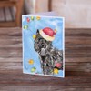 Caroline's Treasures CK2470GCA7P Christmas Lights Bouvier des Flandres Greeting Cards