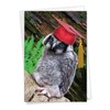 Capped Creatures - Owl Happy Graduation Day Card with Envelope
