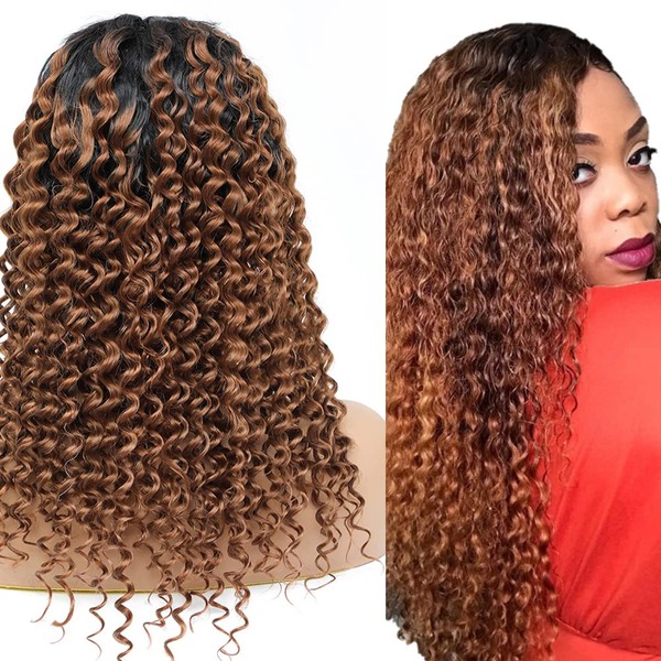 YesJYas Real Hair Wigs, Women's Human Hair Wig, Brazilian Wig, 150% Density, 4x4 Lace Closure Wig, Ombre Brown, Human Water Wave, Glueless Wig, 1B/30 Colour, 16 Inches (40