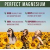 Perfect Magnesium Citrate Powder - 270g