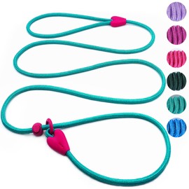 Slip Leads for Dogs Puppy Leash Comfortable 5FT Heavy Duty Loop Leash No Pull Pet Training Leash 6 Colors Classic Dog Leash for Small Medium Dogs(Lake Blue)