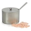 RSVP International Endurance Kitchen Collection Salt Cellar Set with Spoon,