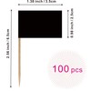 Blank Toothpick Flag Small Mini Labeling Marking DIY Stick Flags