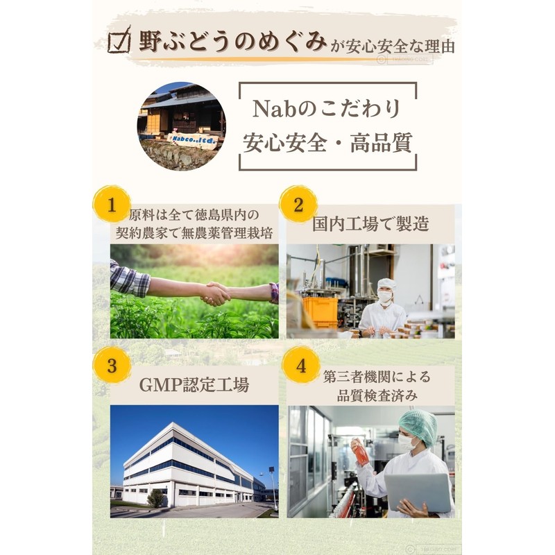 野ぶどうのめぐみ＋乳酸菌 サプリメント・90錠