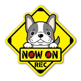 SignStore Cute French Bulldog Sign Sticker Now no Rec 5.3" x 5.3" Brown Vinyl Made in Japan character_18_FB_Rec (Black)