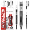 RED DRAGON Gian Van Veen Axis SE 21 g Premium
