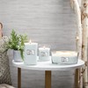 WoodWick Medium Hourglass Candle, Magnolia Birch - Premium Soy Blend