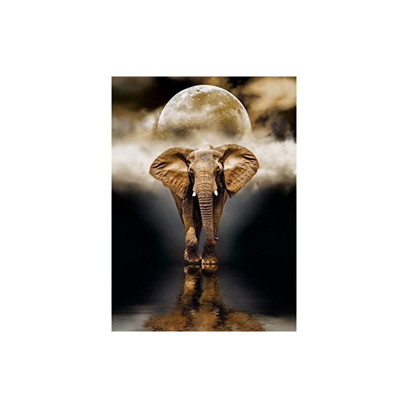 Clementoni - 39416 - Puzzle High Quality Colección - The