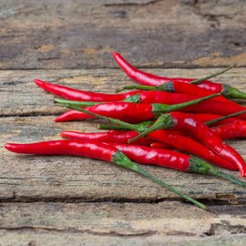 Eden Brothers Hot Pepper Seeds - Chile De Arbol