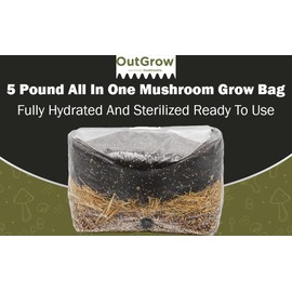 All in One Mushroom Grow Bag (5 Pounds)