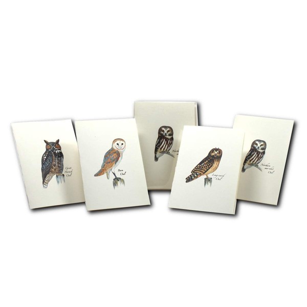 Earth Sky + Water - Sibley Owl Assortment Notecard Set - 8 Blank Cards with Envelopes (2 Each of 4 Styles)