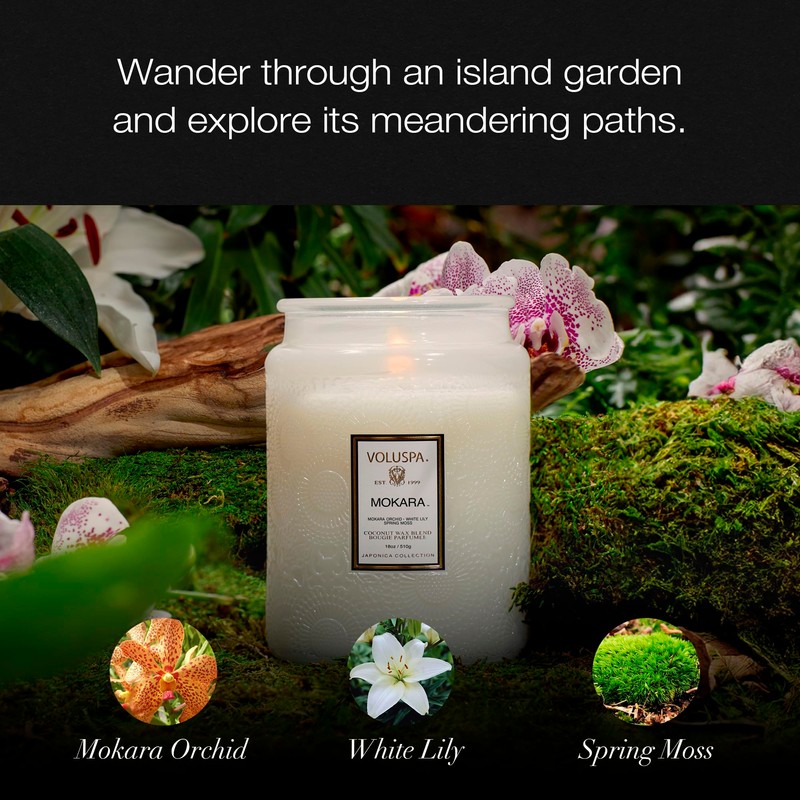 Cherry Gloss Large Jar