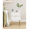 Aienvey Night Stand, Modern Bedside Table with 2 Storage Drawer,