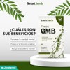 Smart Herb Paquete Focus GMB, Suplemento Alimenticio, 2 piezas (30
