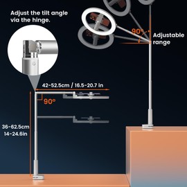 Ring Light with Overhead Phone Mount, 10" Selfie Light with Stand and Phone Holder for Video Recording, Desk Overhead Tripod for Content Creators, TikTok, YouTube, Zoom Meeting, Live Streaming