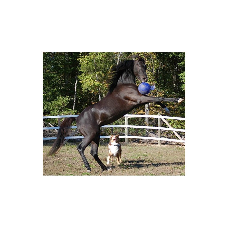 Jolly Pets Tug-n-Toss Boxes, Red, 8