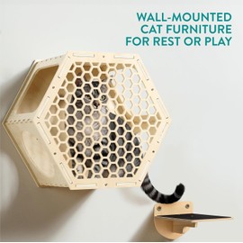 Navaris Cat Shelves for Wall (4 Pieces) - Set with Hexagon Shelf and 3 Steps - Wall Mounted Climbing Perch for Cats - Wall Mount Furniture for Walls