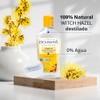 Dickinsons. Tónico Perfeccionador de Poros, 473 ml