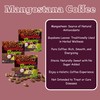 Mangostana Graviola Coffee - Pack of 10 Sachets - 21