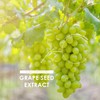 Grapeseed Extract 20,000mg | 95% OPC Proanthocyanidins | Made from