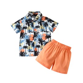 Toddler Baby Boys Summer Outfit Hawaiian Suits Floral Button-Down Shirt + Solid Color Shorts 2pcs Clothes Set (F182-palms, 4-5 Years)
