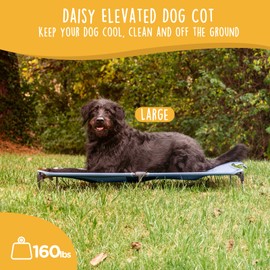 CANINE CANYON Daisy Cot, Large Foldable Elevated Dog Bed, Portable Raised Outdoor Folding Dog Cot, Cooling, Chew Proof, Waterproof, Heavy Duty Up to 160 lbs for Camping/Home, Grey, 43"x 27"x7"