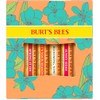 Burt's Bees set de regalo, Granada, Coco y pera, sandía,