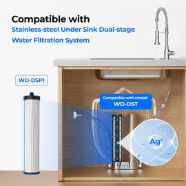 Waterdrop WD-DSP1 Filter Replacement for Waterdrop DST Stainless Steel Under Sink Water Filter System, Replacement Water Filters, Reduce Chlorine, Bad Taste & Odor, 8 Months Long Life, 1 Pack