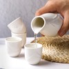 5 Pieces Japanese Sake Set,Ceramic Sake Set with 1 Tokkuri