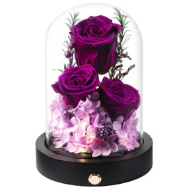 Pinnetetti Flowers for Delivery Prime Preserved Roses Flower in Glass Dome Forever Purple Real Rose Flower Valentines Day Mothers Day Birthday for Her Women Girlfriend Wife Mother Flores