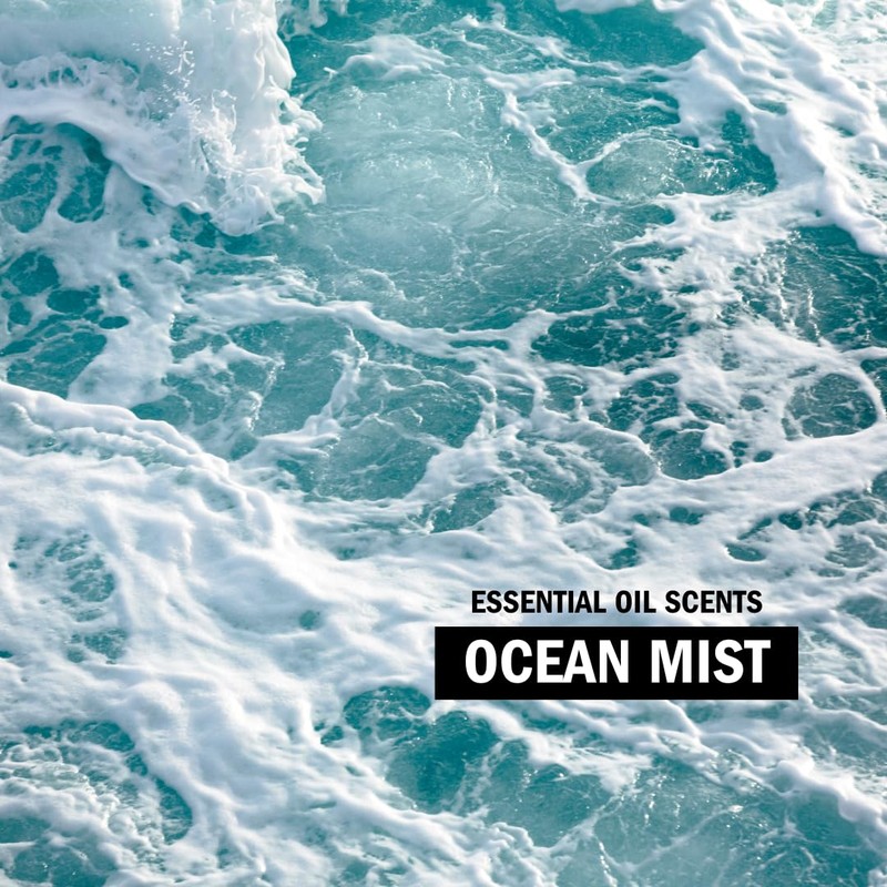 Molly's Suds Liquid Laundry Detergent | Natural Laundry Detergent Soap