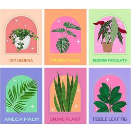 LOITTAINUE Paint by Numbers Adults 6 Pieces, Painting by Numbers Set, Flower with Wrinkle-Free Canvas, Brush and Acrylic Paint for and Beginners, DIY Hand-Painted Oil Painting Kit as a Gift, 20 x 30