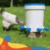 Lil Clucker - Pack of 5 - Blue Large Automatic