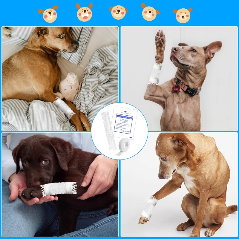 CHGShine Dog Tail Protector Starter Pack - Tail Dressing Vet