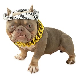 Wodison Dog Bandanas Headband and Gold Plated Dog Chain Collar Hip Hop Costume Accessories Set for Medium Large Dogs Chain Head Cover Apparel Party Cosplay