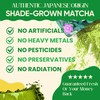 Matcha Supergreens Blend – Ceremonial Green Tea Powder with Spirulina,