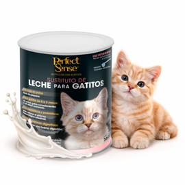 Perfect Sense Sustituto de Leche para Gatitos 360 g con Prebiticos, Probiticos, Enzimas Digestivas y DHA de Origen Marino                             