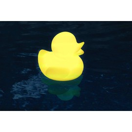Swimline 13500 Led Ducky Floating Light