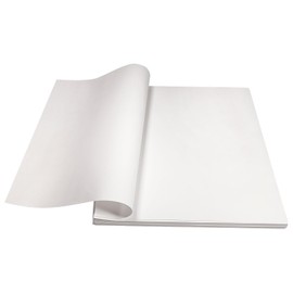 Lineco Acid-Free Herbarium Specimen Newsprint Paper, Used for Re-Folder and Press Plants Flowers, Folded Size 11.5 x 16.5 Inch (16.5 x 23 in Overall), Pack of 25